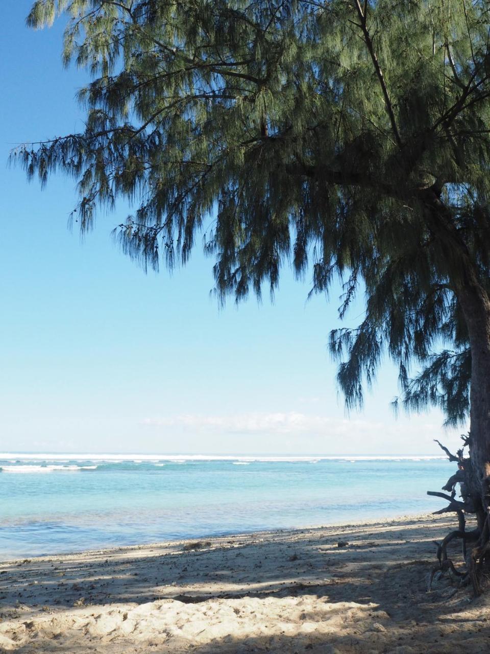 Escale Tropicale, Appart Vue Mer A 2 Min Du Lagon Apartment แซ็งต์-จีลส์-เลส์-แบ็งส์ ภายนอก รูปภาพ